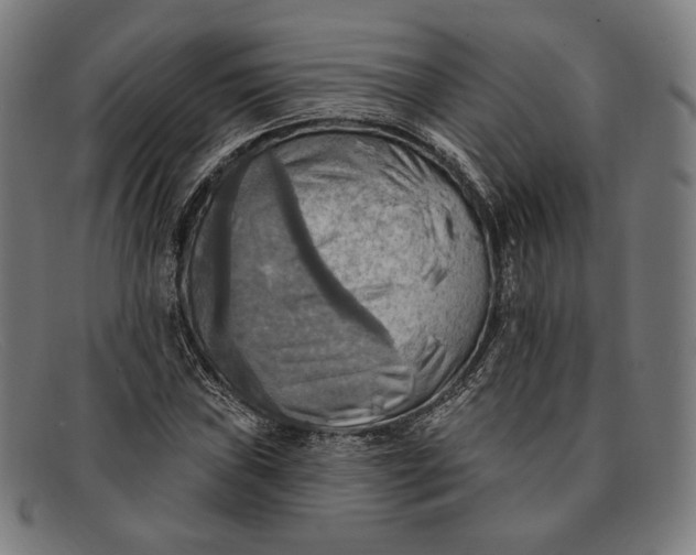 X0000091291019200708311313