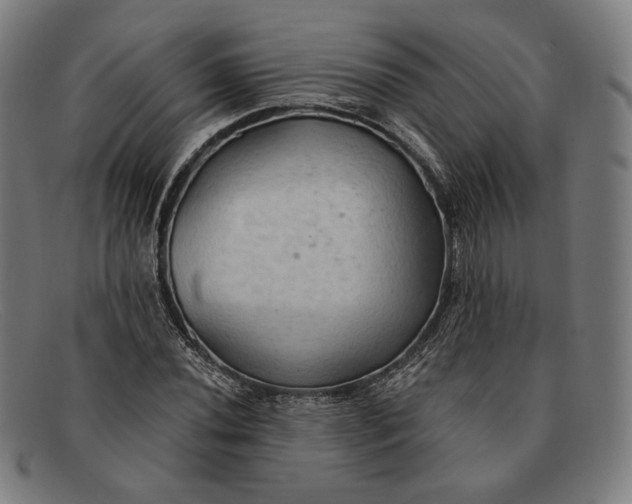 X0000091291020200708311313