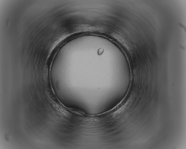 X0000091291021200708311313