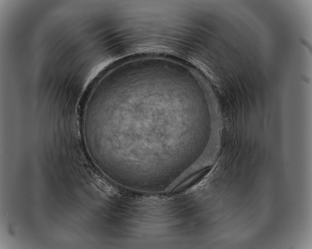 X0000091291022200708311313