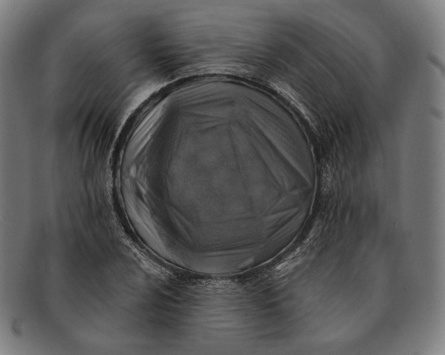 X0000091291024200708311313