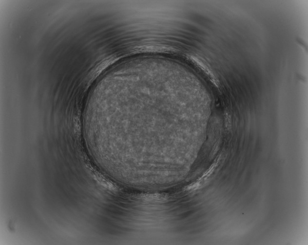 X0000091291025200708311313