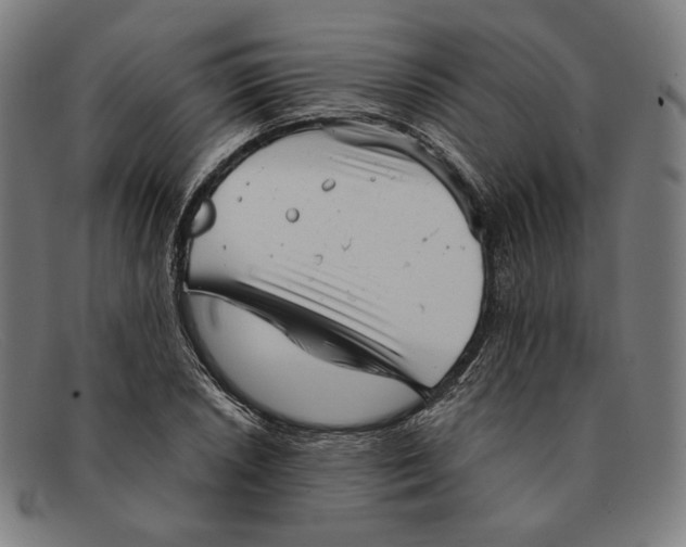 X0000091291026200708311313