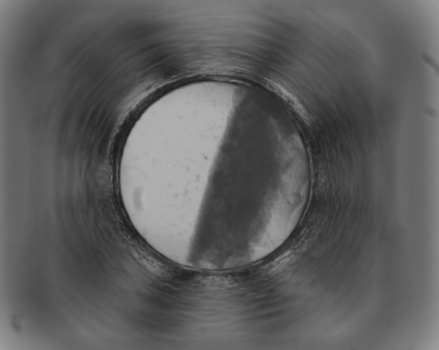 X0000091291027200708311313