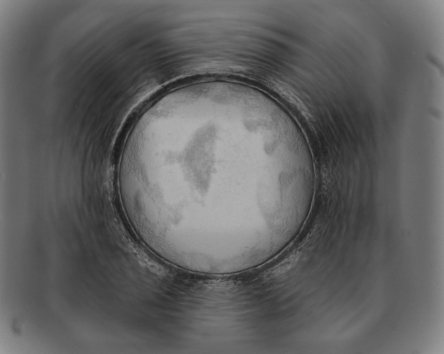 X0000091291029200708311313