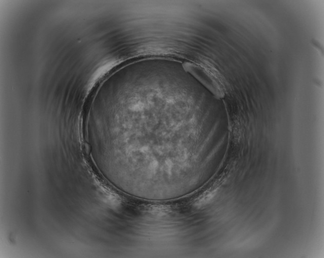 X0000091291030200708311313