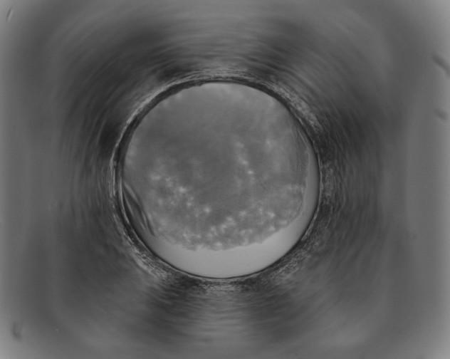 X0000091291031200708311313