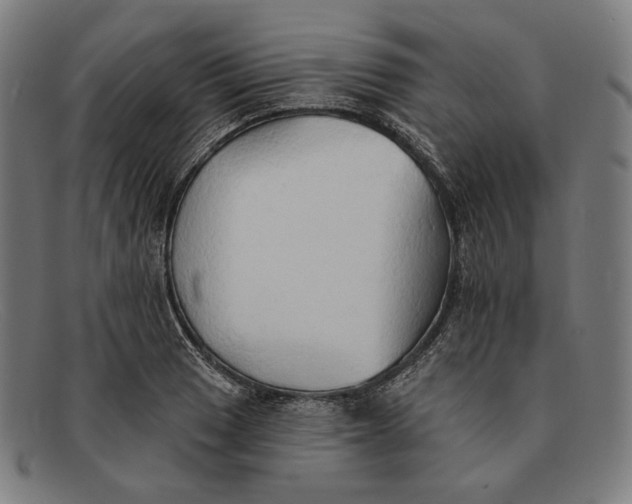 X0000091291033200708311313