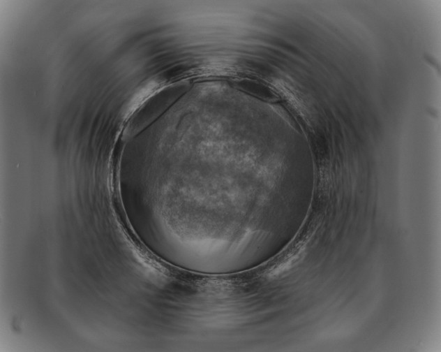 X0000091291034200708311313