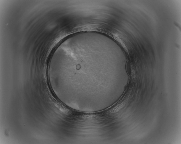 X0000091291035200708311313