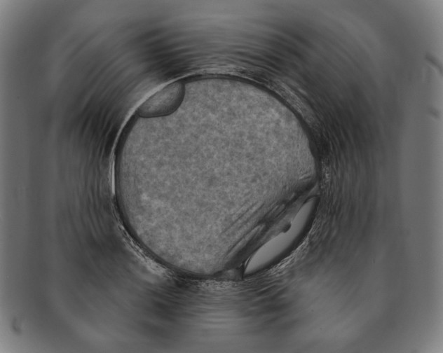 X0000091291036200708311313