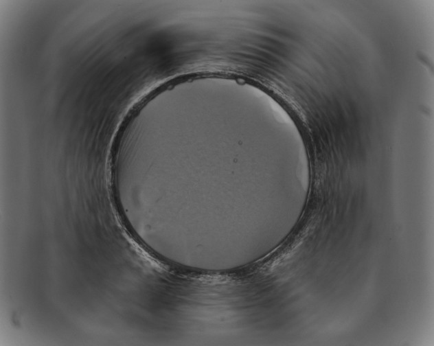 X0000091291037200708311313