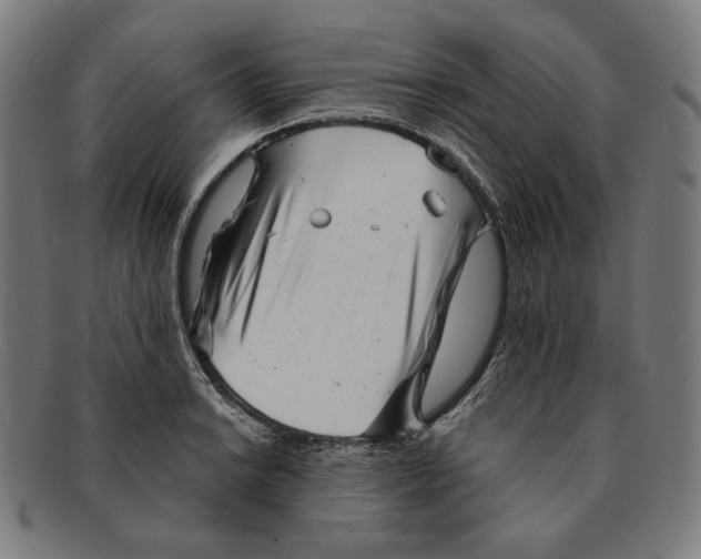 X0000091291038200708311313