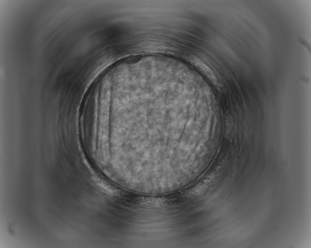 X0000091291039200708311313