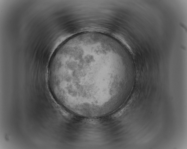 X0000091291040200708311313