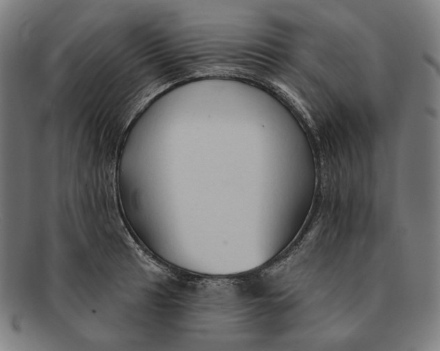 X0000091291041200708311313