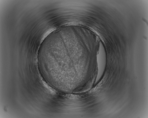 X0000091291042200708311313