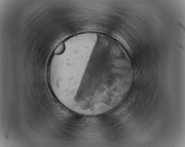 X0000091291043200708311313