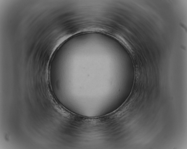 X0000091291044200708311313