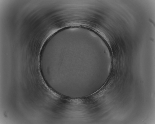 X0000091291045200708311313