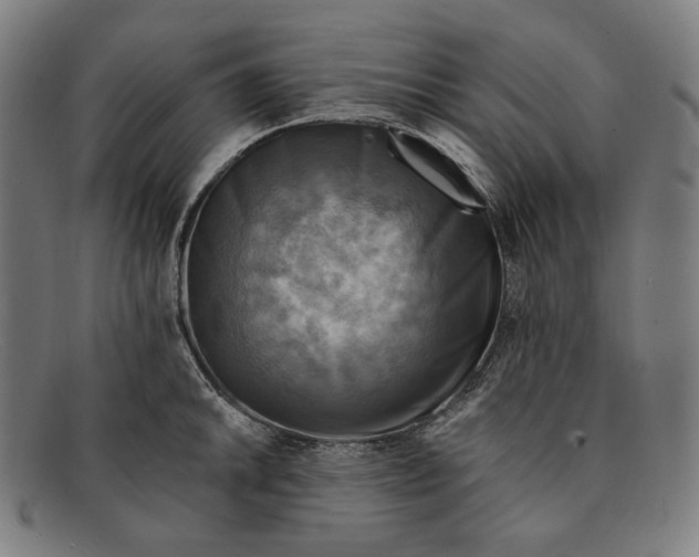 X0000091291046200708311313