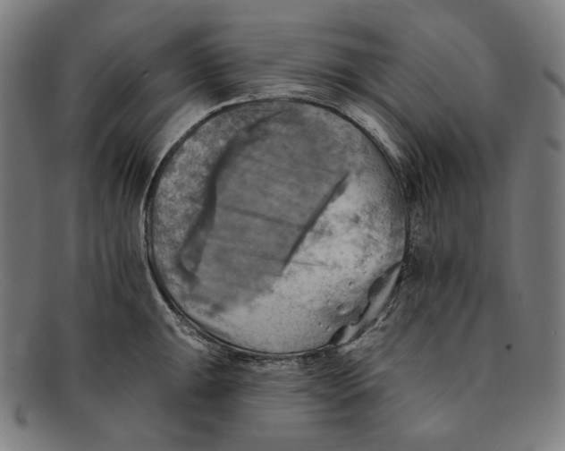 X0000091291047200708311313