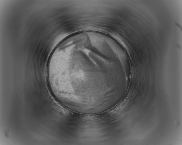 X0000091291048200708311313