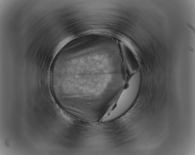 X0000091291050200708311313