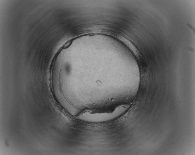 X0000091291051200708311313