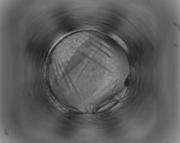 X0000091291052200708311313