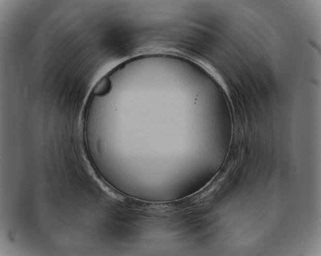 X0000091291053200708311313