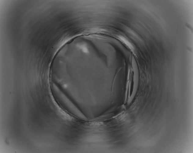 X0000091291055200708311313