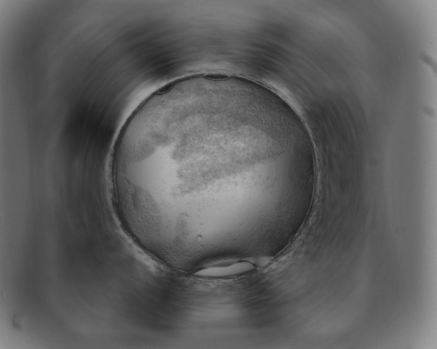 X0000091291056200708311313