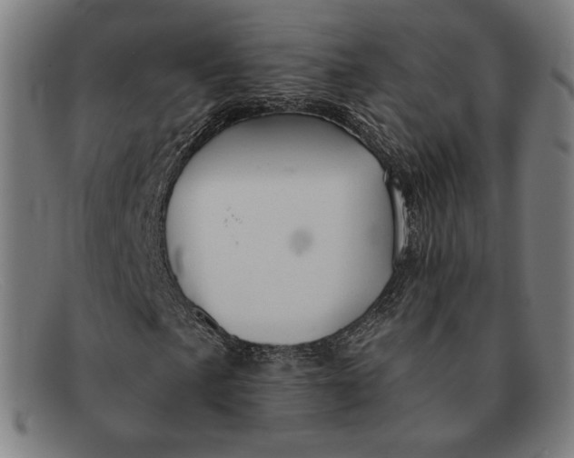 X0000091291057200708311312