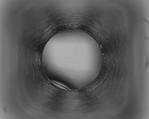 X0000091291058200708311312