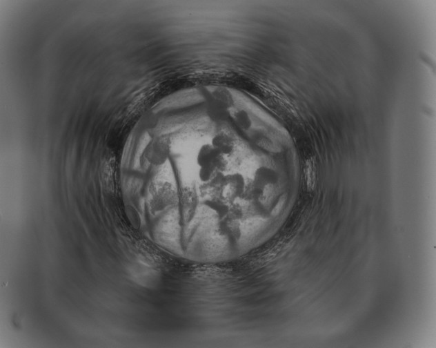 X0000091291059200708311312