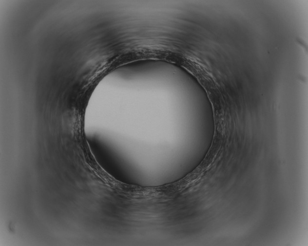 X0000091291061200708311312