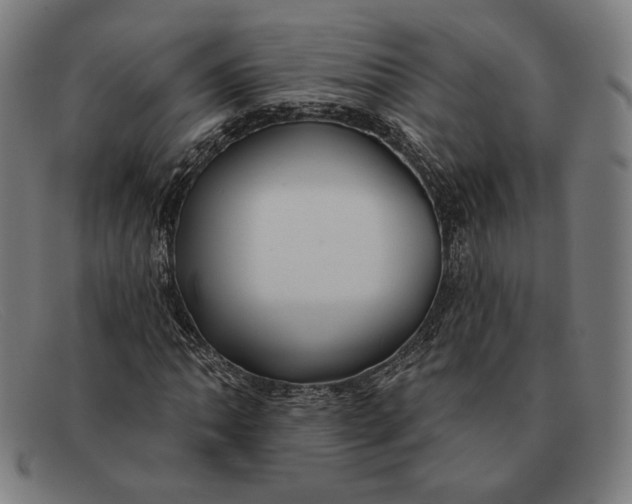 X0000091291062200708311312