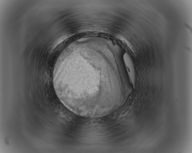 X0000091291064200708311312