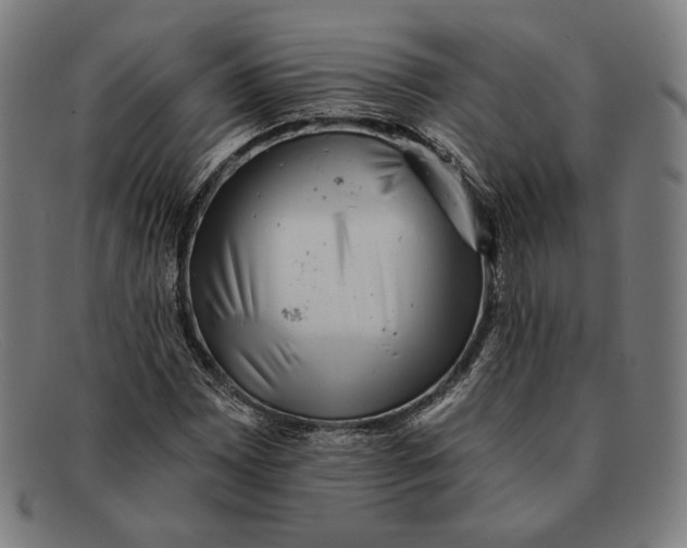 X0000091291065200708311312