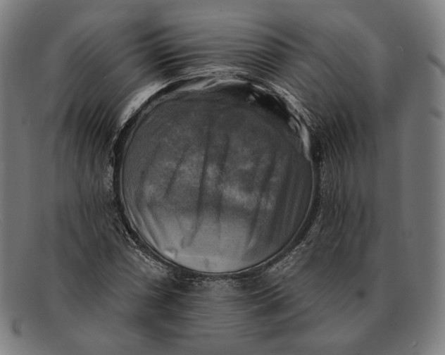 X0000091291066200708311312