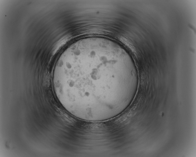 X0000091291067200708311312