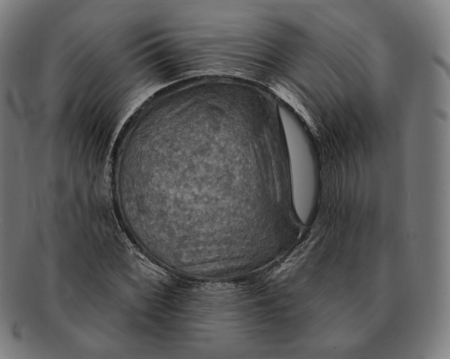 X0000091291068200708311312