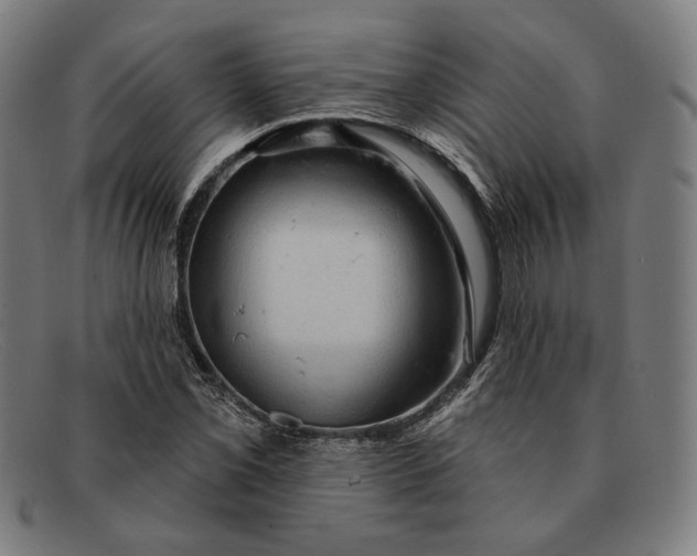 X0000091291069200708311312