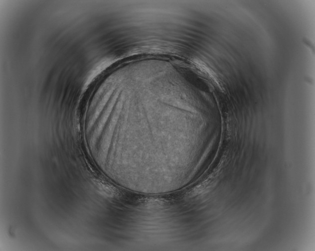 X0000091291070200708311312