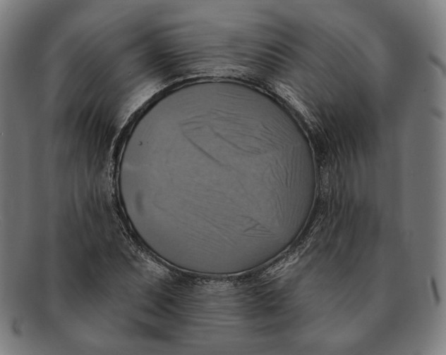 X0000091291071200708311312