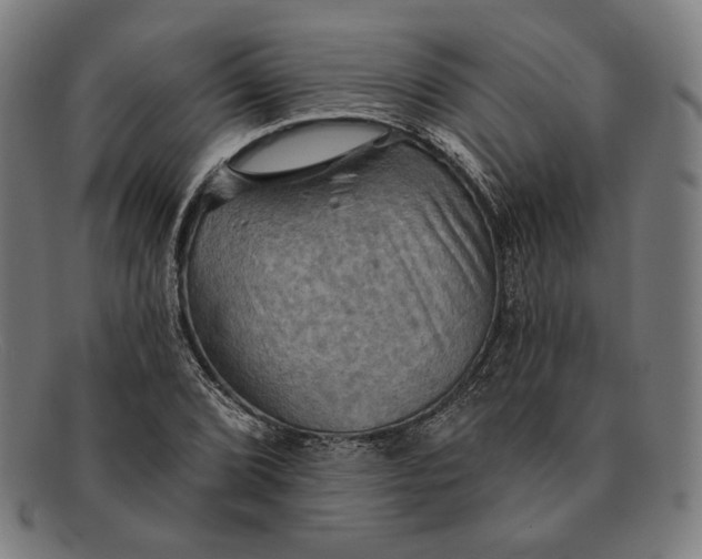 X0000091291072200708311312