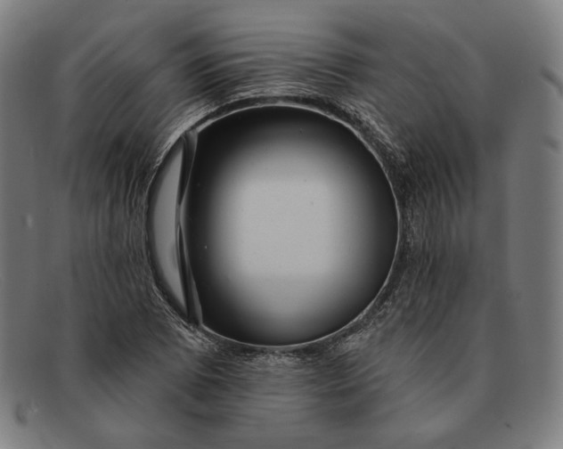 X0000091291073200708311312