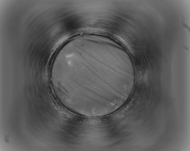 X0000091291074200708311312