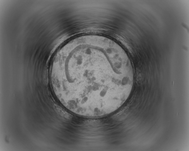 X0000091291075200708311312